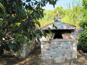 domatia_090.jpg