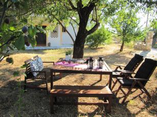 domatia_096.jpg