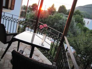 domatia_280.jpg