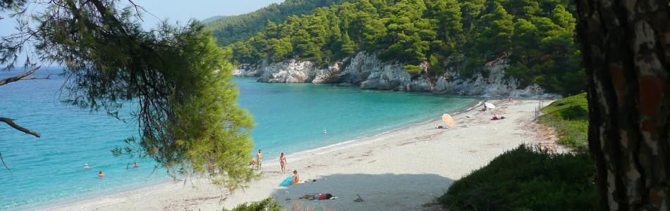 kastani_skopelos_thumb.jpg
